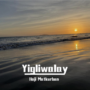 美国被大吉吧操哭
